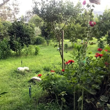 Cirali Ulgen Villas Prázdninový dům Kemer
